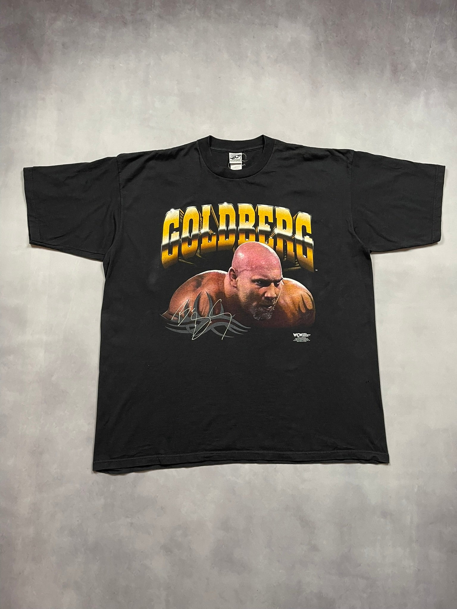 90s ALSTYLE wwf プロレス　GOLDBERG tシャツ 黒　半袖 90s ALSTYLE wwf プロレス GOLDBERG tシャツ 黒 半袖